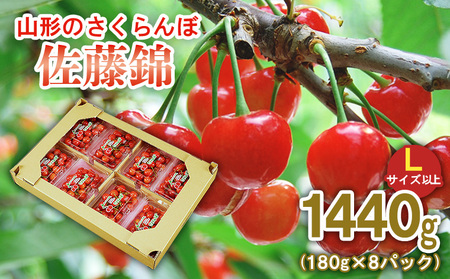 R`̂   1440g (180g×8pbN)LTCYȏ yߘa8NYs\zFS25-515