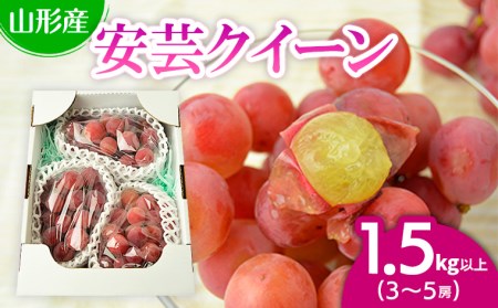 山形市本沢ぶどう安芸クイーン 1.5kg以上(3〜5房) [令和7年産先行予約]FU22-789