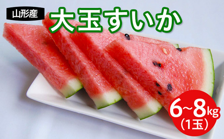 R`Y ʐZ() 1ʓ yߘa8NYs\zFS25-594  ʕ t[c R` R` R`s 2026NY