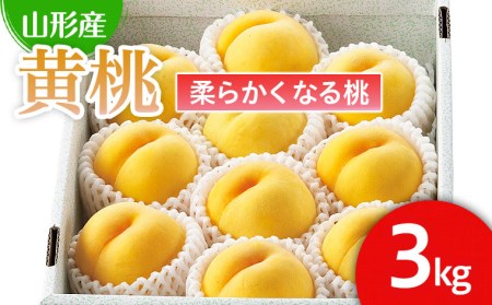  山形の桃(黄桃) 3kg(6～12玉)(品種おまかせ)[柔らかくなる桃] 【令和8年産先行予約】FU22-179