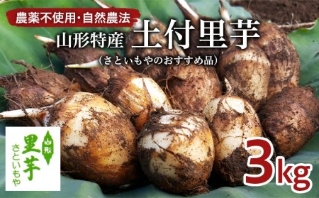 農薬不使用 自然農法 山形特産 土付里芋 3kg!(さといもやのおすすめ品) FZ23-134