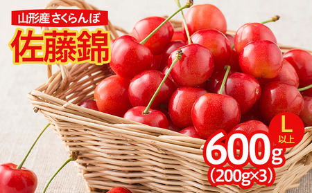  さくらんぼ 佐藤錦 800g(200g×4パック入) L以上 フードパック 【令和6年産先行予約】FU22-230