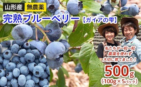 山形産 無農薬 完熟ブルーベリー【ガイアの雫】500g(100g×5パック) 【令和6年産先行予約】FU22-308