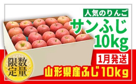 ☆フルーツ王国山形☆【家庭用】無袋サンふじりんご 10kg [1月発送]FZ24-943