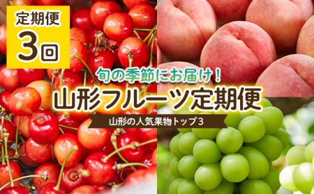 [定期便3回]やまもりやまがたの定期便〜山形の人気果物トップ3〜 [令和7年産先行予約]FU22-001 くだもの 果物 フルーツ 山形 山形県 山形市 2025年産