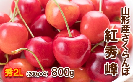 さくらんぼ 紅秀峰 "希少な大粒" 2Lサイズ 800g(200g×4パック)【令和7年産先行予約】FU22-008 くだもの 果物 フルーツ 山形 山形県 山形市 2025年産