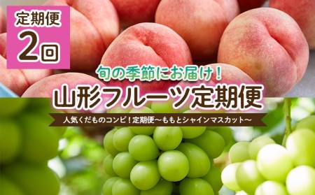 [定期便2回]人気くだものコンビ!定期便〜ももとシャインマスカット〜 [令和7年産先行予約]FU22-022 くだもの 果物 フルーツ 山形 山形県 山形市 2025年産