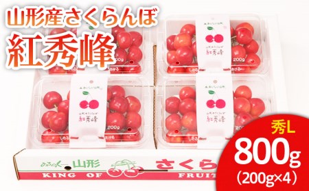 山形市産 さくらんぼ 紅秀峰 L 800g(200g×4) [令和7年産先行予約]FU22-031 くだもの 果物 フルーツ 山形 山形県 山形市 2025年産