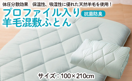 [日本の極み]プロファイル入り羊毛混敷ふとん FZ23-295