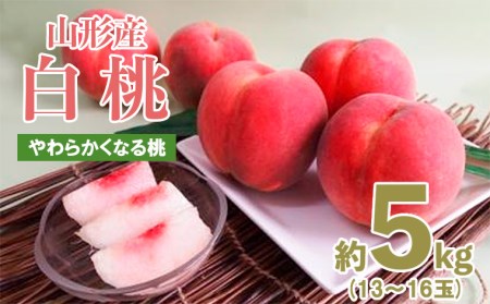 山形産白桃約5kg(13〜16玉)[やわらかくなる桃][令和8年産先行予約]FU19-328 くだもの 果物 フルーツ 山形 山形県 山形市 2026年産