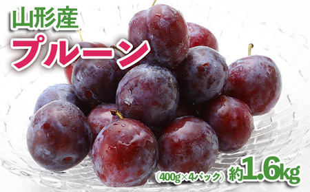 R`Y v[ 1.6kg(400g×4pbN)yߘa8NYs\zFU23-535  ʕ t[c R` R` R`s 2026NY