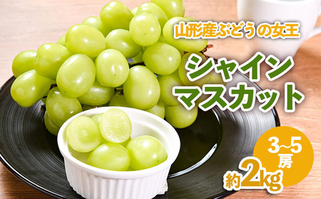 R`Y Ԃǂ̏ VC}XJbg 2kg FZ23-539