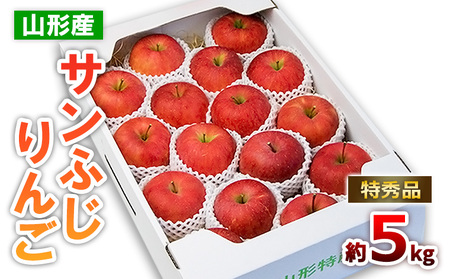 R`̃Tӂ Gi 5kg(10`25) FZ19-137