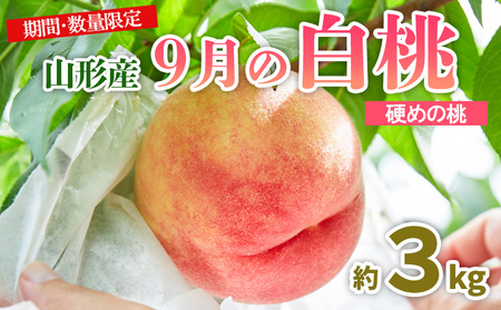 R`9̔ [d߂̓] Gi 3kg yߘa8NYs\zFU23-583  ʕ t[c R` R` R`s 2026NY