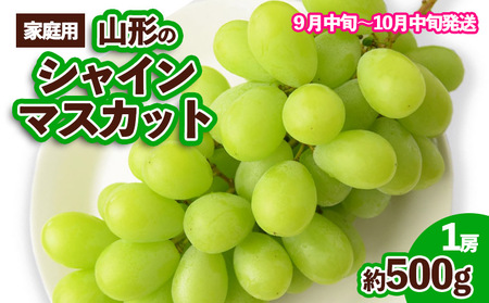 【ご家庭用】山形のシャインマスカット 優品 1房 約500g[9月中旬～10月中旬お届け] 【令和6年産先行予約】FS23-648