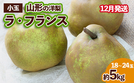 山形の洋梨 ラフランス 優品 約5kg (小玉2L～M/18～24玉)[12月発送] FZ23-654