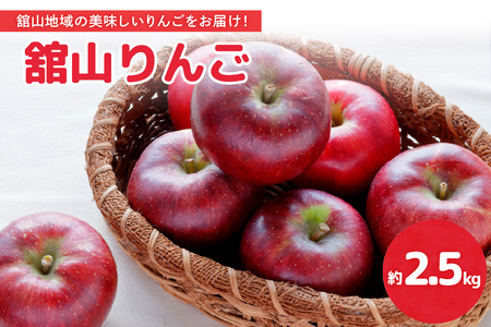 [先行予約] 令和8年産 舘山りんご 品種おまかせ 約2.5kg 9玉 〜 11玉