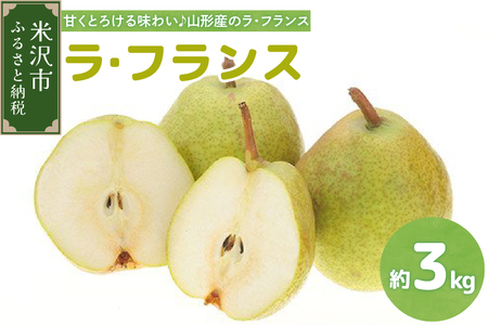 【先行予約】令和7年産 ラ・フランス 3kg（8～9玉）2025年11月中旬～ お届け ラフランス 洋梨 西洋梨 2025年産