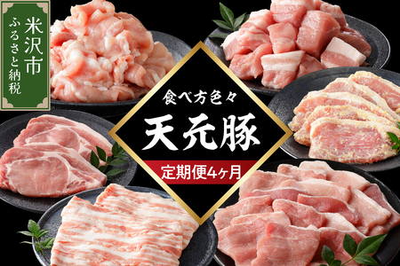 [定期便] 4ヶ月定期便 天元豚 セット 全4回 便利 小分け 冷凍 豚肉 しゃぶしゃぶ 焼肉 とんかつ 定期 コース 食べ比べ 詰め合わせ ブランド豚 ロース ひき肉 小間 バラ モモ スライス サイコロ おかず お取り寄せ 東北 山形県 米沢市