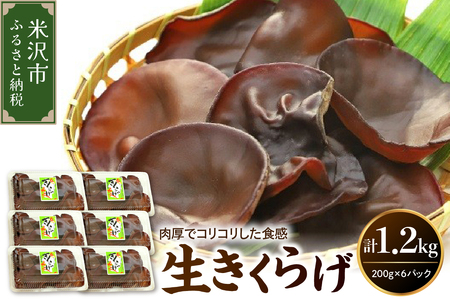 [先行予約][ 期間限定 ] 生きくらげ 計 1.2kg ( 200g × 6パック )〔 2025年 6月 〜 10月 中旬頃お届け 〕 米沢産 無農薬栽培 きくらげ きのこ 冷蔵