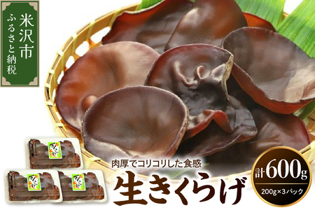 [先行予約][ 期間限定 ] 生きくらげ 計 600g ( 200g × 3パック )〔 2025年 6月 〜 10月 中旬頃お届け 〕 米沢産 きくらげ きのこ 冷蔵