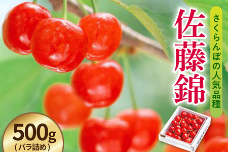 ys\z ߘa8NY   500g ( ol ) 2026N6{`{͂\