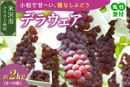 [先行予約][数量限定][令和8年産]ぶどう デラウェア 2kg ( 8〜10房 ) 2026年8月20日〜9月20頃お届け予定