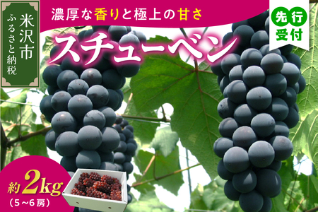 ys\zyʌzyߘa8NYzԂǂ X`[x ( 킠 ) 2kg ( 5`6[ ) 2026N925`1031͂\