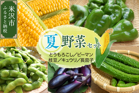 [ 先行予約 ] [ 令和7年産 ] 夏野菜 セット トウモロコシ ピーマン 長茄子 キュウリ 枝豆 〔 8月上旬〜下旬頃お届け 〕 2025年産