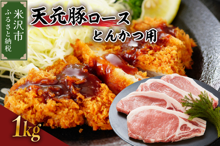 V [X Ƃ񂩂p 1kg i 100g × 10 juh |[N    R` đs