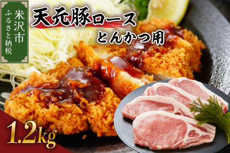 V [X Ƃ񂩂p 1.2kg i 100g × 12 juh |[N    R` đs