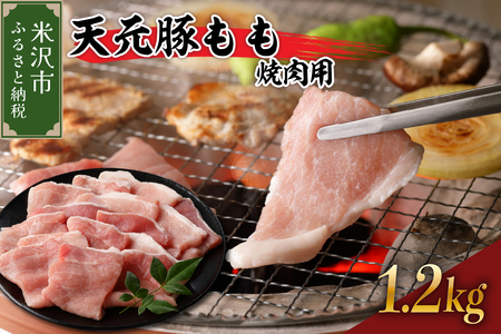 天元豚 もも 焼肉用 1.2kg ( 300g × 4パック ) ブランド豚 ポーク おかず お取り寄せ 送料無料 山形県 米沢市