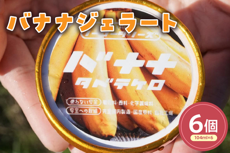 バナナジェラート(104ml)〔6個入り〕バナナ アイス スイーツ 洋菓子 お菓子 デザート 贈答 贈り物 ギフト プレゼント お取り寄せ 送料無料 山形県 米沢市