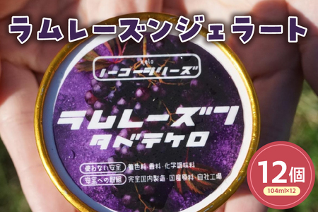 [YWF[g(104ml)k12l [Y ACX XC[c mَq َq fU[g  蕨 Mtg v[g   R` đs