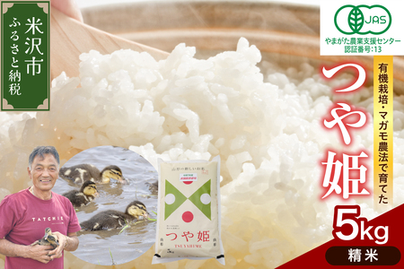 y ߘa7NY z L@JAS P 5kgsāt L@엿100% ͔|Ԓ _sgp 2025NY _ƒ uh