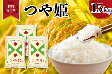 yߘa7NYz R`Y ʍ͔| P 15kg 