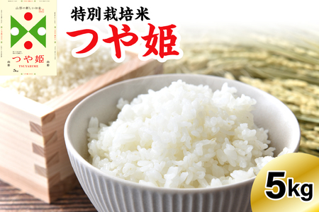 [令和6年産] 特別栽培米 つや姫 5kg 〔精米〕※2025年7月発送※
