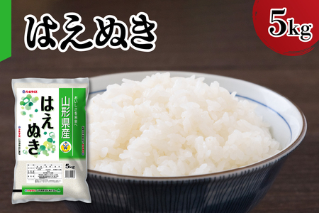 yߘa7NYz V R`Y ͂ʂ 5kg 