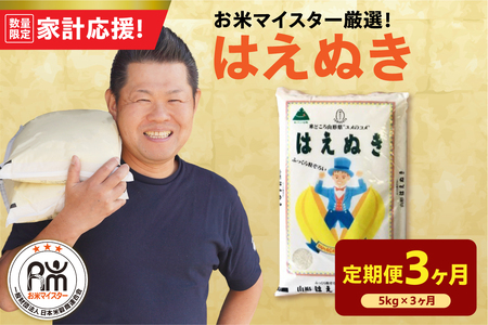 [ 3ヶ月定期便 / 令和7年産] はえぬき5kg 2025年産 山形県 精米 米 白米 お米 ブランド米 お米マイスター 山形県 米沢市 送料無料