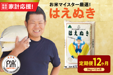 [定期便] 山形県産 精米 はえぬき 5kg×12ヶ月 計60kg お米 マイスター 厳選米