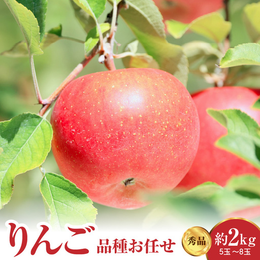 [先行予約] 令和8年産 りんご 品種お任せ 秀品 約2kg 5玉 〜 8玉 中生種 涼香の季節 昂林 など 2026年10月上旬〜下旬頃 お届け予定 山形県 米沢市