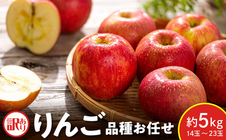 [先行予約] 令和8年産 訳あり りんご 品種 お任せ 約5kg 14玉 〜 23玉 ご家庭用 中生種 涼香の季節 昂林 など 2026年10月上旬〜下旬頃 お届け予定 山形県 米沢市