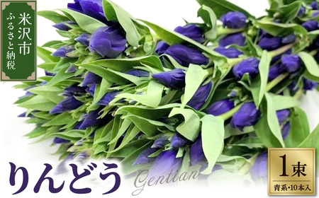 [先行予約] りんどう 青系 1束 10本入り 花 生花 切花 2026年8月上旬〜9月中旬 お届け予定 山形県 米沢市