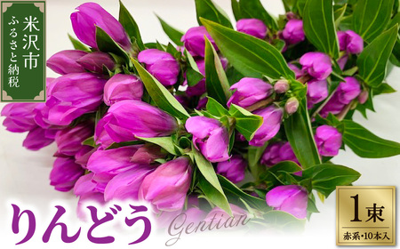 [先行予約] りんどう 赤系 1束 10本入り 花 生花 切花 2026年8月上旬〜9月中旬 お届け予定 山形県 米沢市