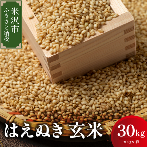 [先行予約]令和8年産 はえぬき 玄米 30kg ( 30kg × 1袋 ) 産地直送 2026年産 米沢産 玄米 山形県 米沢市