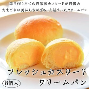 《数量限定》ウフウフガーデン フレッシュカスタードクリームパン (8個入り) [026-008]