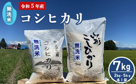 [令和5年産 ] 無洗米 コシヒカリ 7kg (5kg 2kg 各1袋) 農家直送 2023年産 [005R5-004]