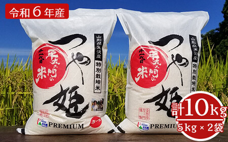 先行予約【令和4年産 新米】 特別栽培米 つや姫 10kg （5kg×2袋） 農家直送 産地直送 2022年産