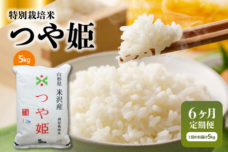 y6ցz ߘa7NY ʍ͔| P 5kg × 6 v30kg R` đY 