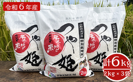 [ 先行予約 ] [ 令和6年産 新米 ] 特別栽培米 つや姫 計 6kg ( 2kg × 3袋 ) 2024年産 産地直送 農家直送 ブランド米 [061R6-012]